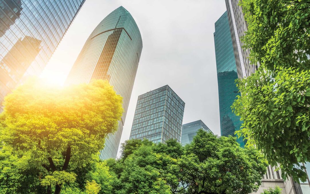 Sustainability