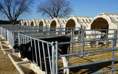 Calf-Tel Group Yard Gates